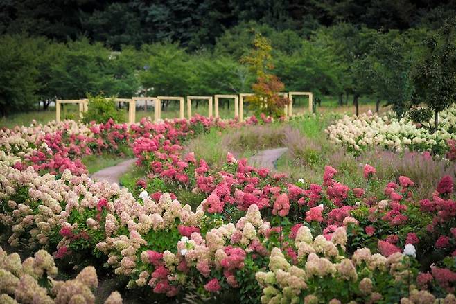 ▲ 국립백두대간수목원