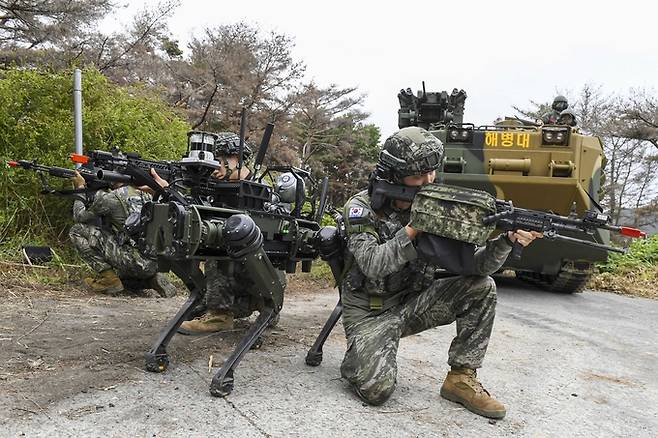 ▲ 해병대 1사단이 지난 8일부터 오는 26일까지 포항 일대 훈련장에서 미래형 상륙작전을 위한 전투실험대대의 육·해상 실기동 실험을 실시 중인 가운데, 해병 보병이 장갑차와 함께 사주경계하는 모습. 해병대 1사단 제공