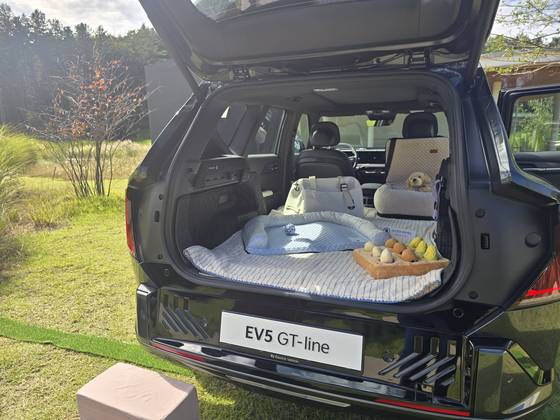 EV5 2열은 트렁크와 평평하게 접을 수 있어 캠핑이나 차박 수요를 충족할 수 있다. 이수정 기자