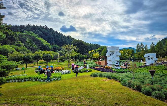 봉자 페스티벌이 열리는 국립백두대간수목원. 한국수목원정원관리원