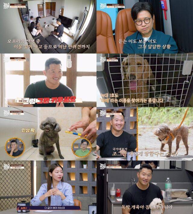 '개와 늑대의 시간' 8화 / 채널A
