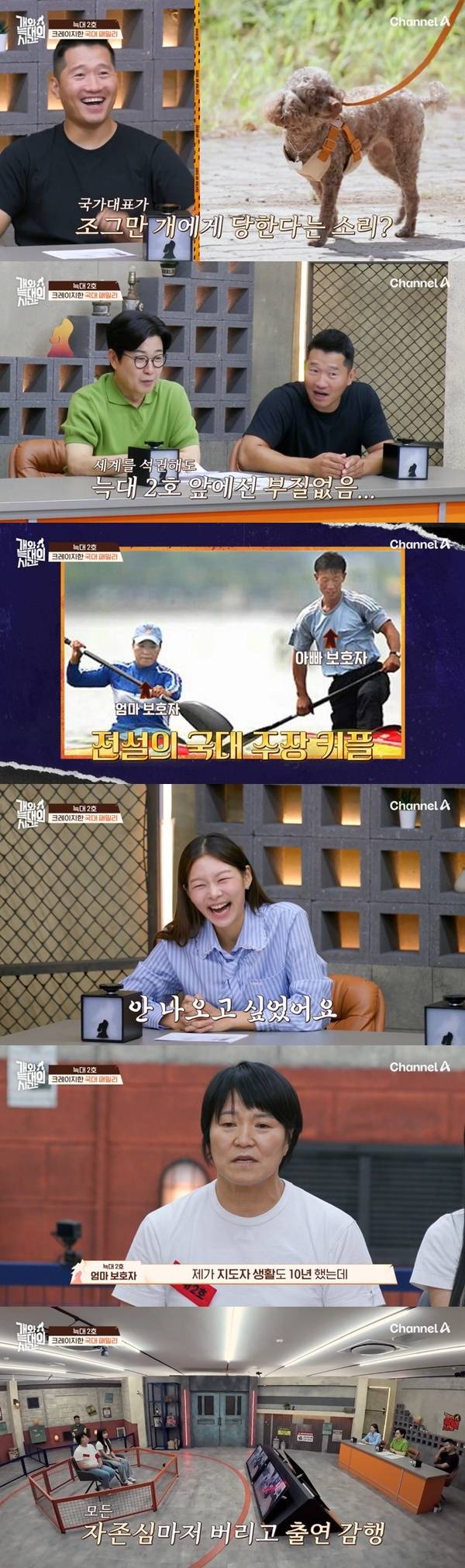 채널A ‘개와 늑대의 시간’ 캡처