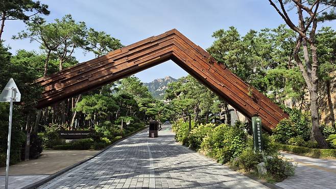 숲으로의 초대. 안토 리조트가 시작되는 곳이다.