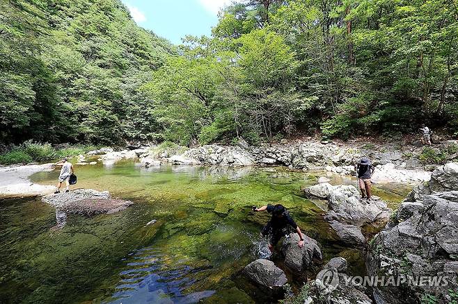 물길 따라 걷는 계곡 트레킹 [인제군 제공. 재판매 및 DB 금지]