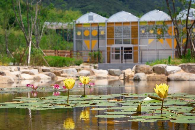 국립정원문화원 [산림청 한국수목원정원관리원 제공. 재판매 및 DB 금지]