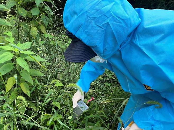 광주시보건환경연구원은 추석연휴를 앞두고 진드기 물림과 설치류 매개 감염병의 각별한 주의를 당부했다./광주시보건환경연구원 제공