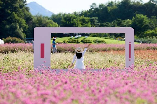 나리농원 내 포토존. 양주시 제공