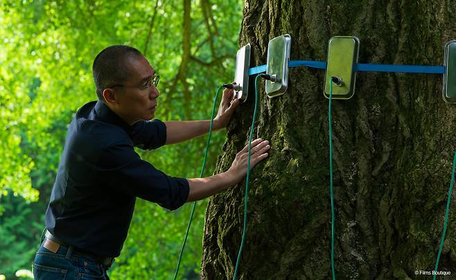 영화 '사일런트 프렌드' /부산국제영화제