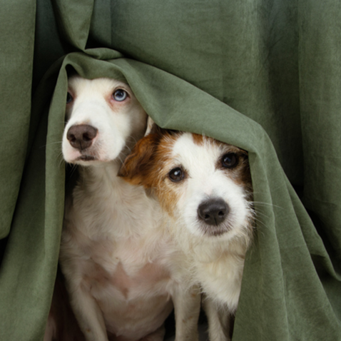 게티이미지뱅크