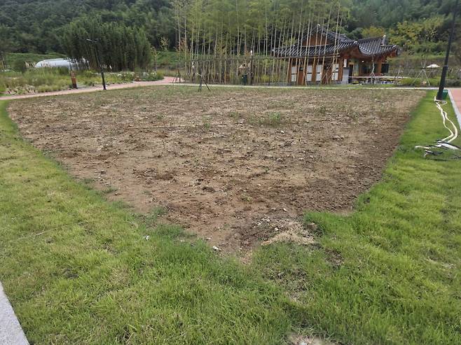 국립정원문화원 내 정원 전시 공간. 잡풀이 듬성듬성 자라 황량한 대지를 메우고 있다. /김재환 기자