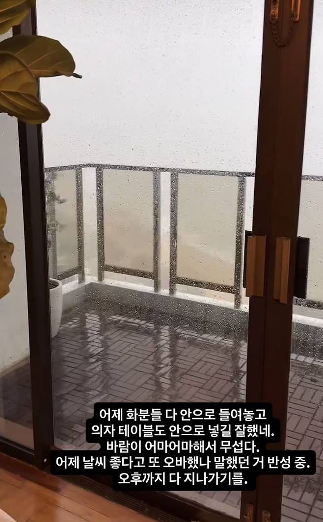 [서울=뉴시스] 강수정 집. (사진 = 인스타그램 캡처) 2025.09.24. photo@newsis.com *재판매 및 DB 금지