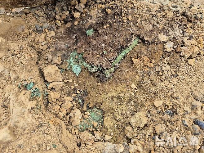 영천 완산동 고분군Ⅲ '금동관' 출토 현장