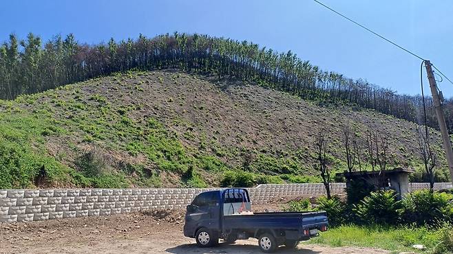 의성군 산불 피해 현장 ⓒ의성군