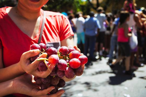 멘도사는 아르헨티나를 대표하는 와인의 고장이다. 풍부한 과일 향으로 유명한 말벡 품종의 세계 최대 산지다. 곳곳에 와이너리가 있으며, 매년 3월 포도 수확 철에 맞춰 포도 축제 ‘벤디미아’도 연다. 갓 수확한 포도는 혀가 아릴 만큼 새콤달콤하다.