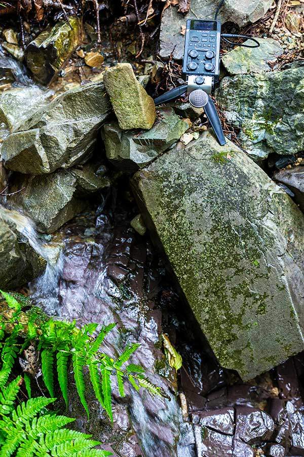 계곡에서 녹음할 땐 윈드 쉴드를 벗긴다.