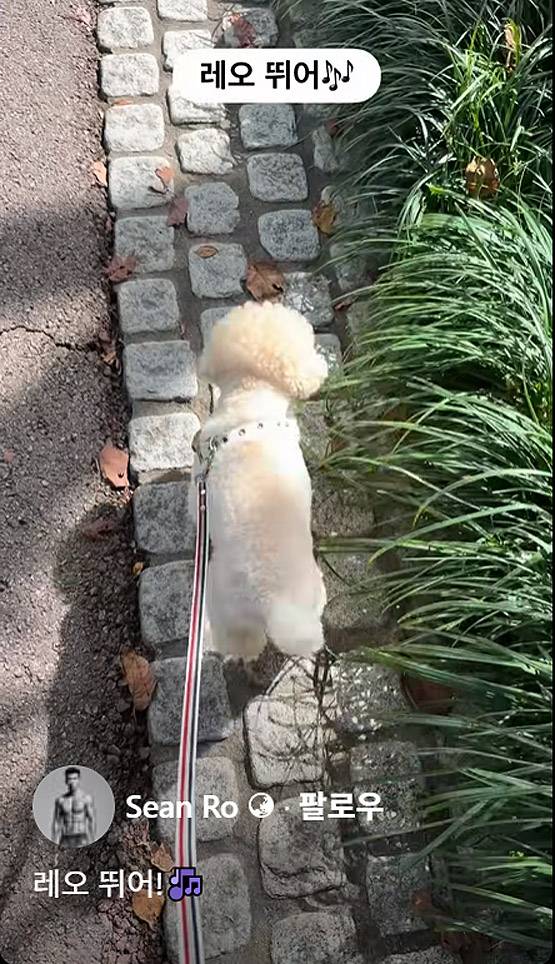 레오. 사진 | 션 SNS