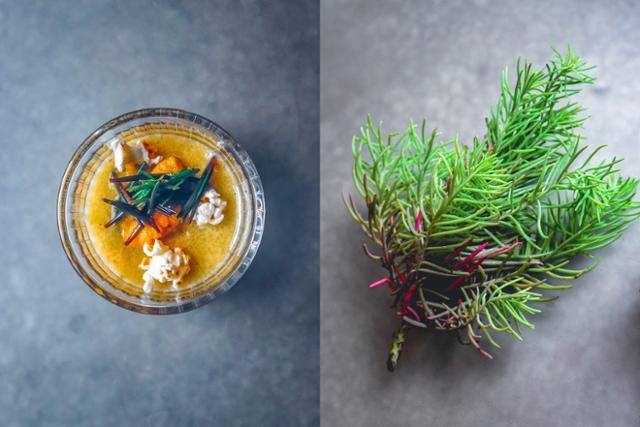 염생식물 방석나물(오른쪽)과 이를 페루 전통 음식 '레체 데 티그레'로 풀어낸 음식. 을유문화사 제공