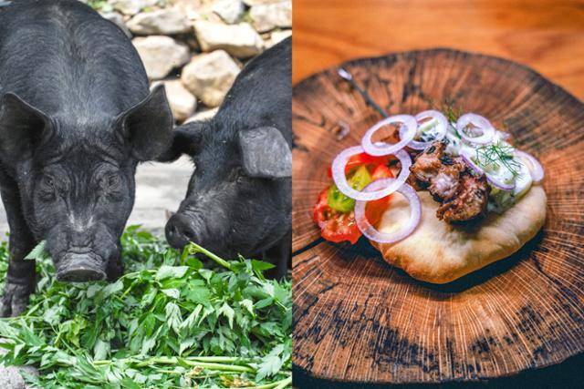 섬바디라는 풀을 먹고 자란 울릉도 재래종 돼지는 내장을 끓이면 풀 향기가 난다. 김태윤 씨는 이를 그리스식 꼬치구이 수블라키로 만들었다. 을유문화사 제공