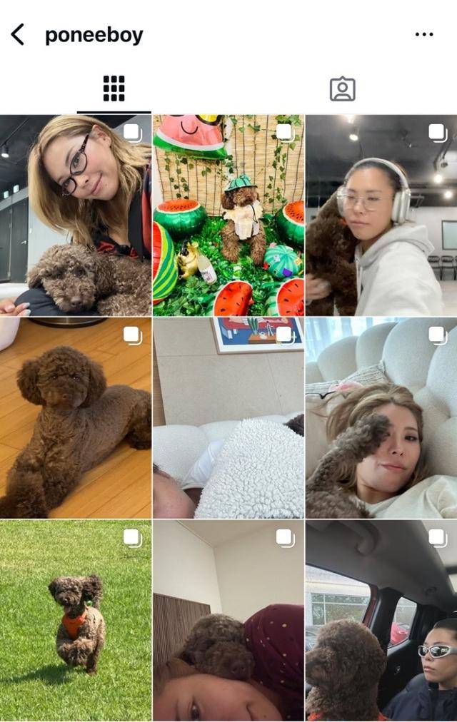 포니 인스타그램 캡처