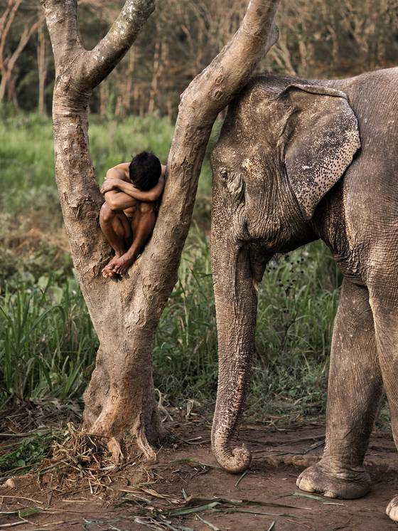 Chiang Mai, Thailand, 2010. ⓒSteve McCurry