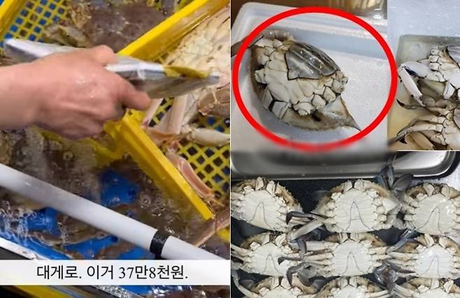 바가지 논란을 일으켰던 소래포구 대게와 꽃게 [사진출처=유튜브, 온라인커뮤니티/ 편집]