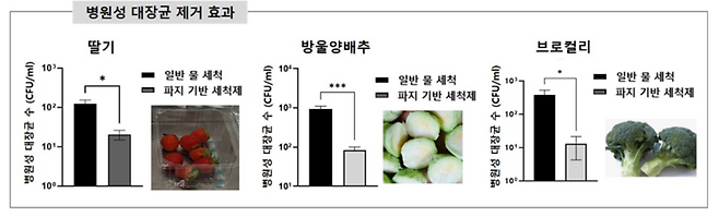 병원성 대장균 제거 효과.[한국식품연구원 제공]
