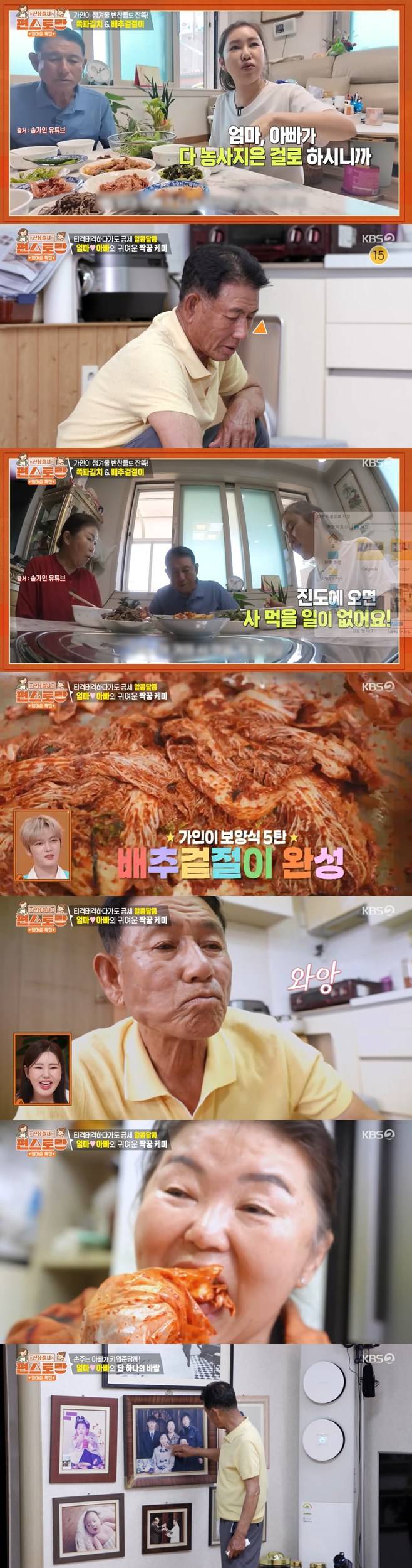 티브이데일리 포토