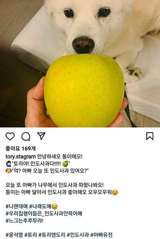 문제의 개사과 인스타그램 게시물. 인스타그램 캡쳐