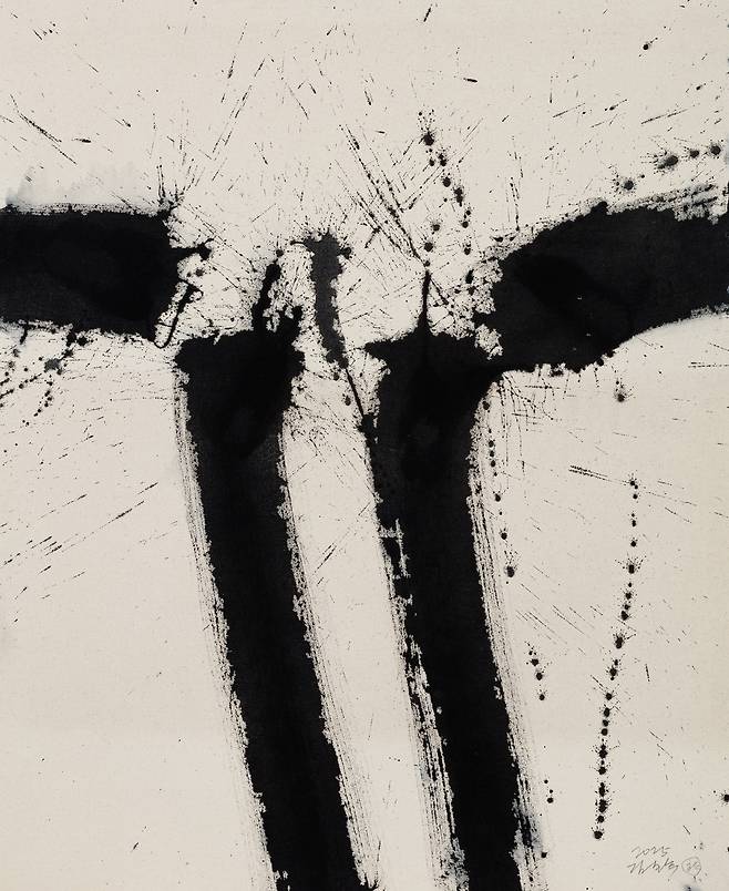 김호득作 ‘폭포’