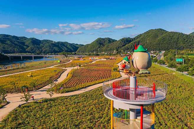 인공의 흔적을 최소화한 잔잔한 풍경의 산소카페