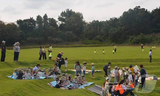 강원 원주시 문막읍 반계리의 은행나무광장의 준공식이 29일 오후 2시 반계리 은행나무 일원에서 열린 가운데, 어린이들이 이날 반계리 은행나무광장 주변에서 야외 활동을 갖고 있다. 2025.9.29/뉴스1 ⓒ News1 신관호 기자