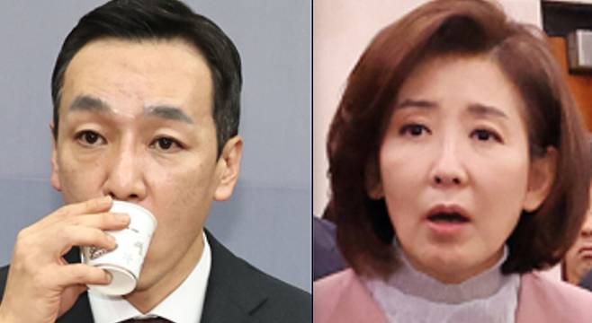 김민수 국민의힘 최고위원(왼쪽), 나경원 의원. 한겨레 자료사진