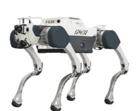 딥로보틱스의
4족 보행 로봇