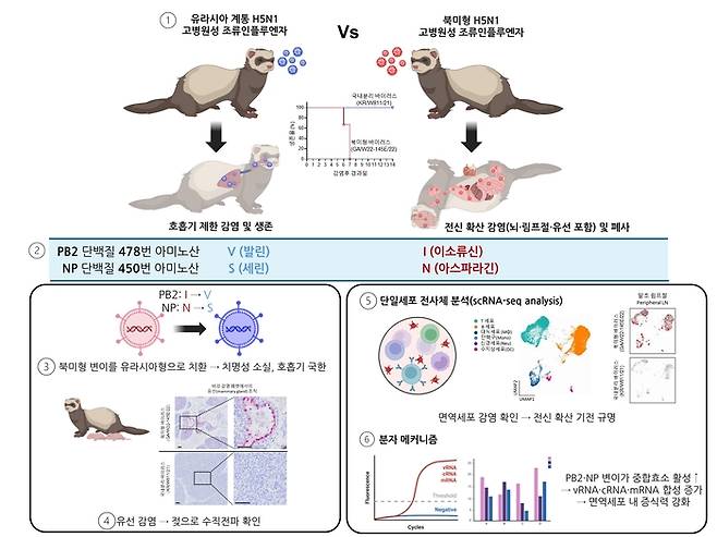 [사진=기초과학연구원]