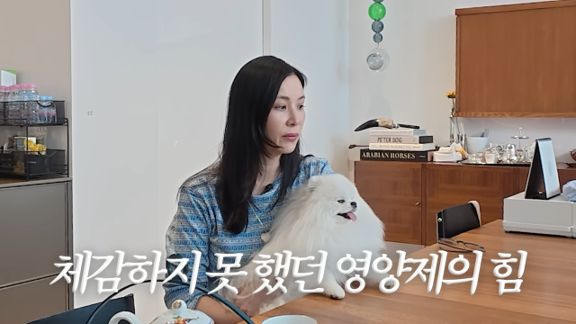 고소영 유튜브 채널