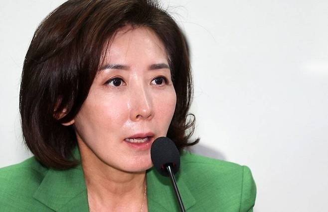 국민의힘 나경원 의원. 뉴시스