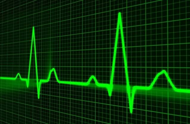 (사진=픽사베이)