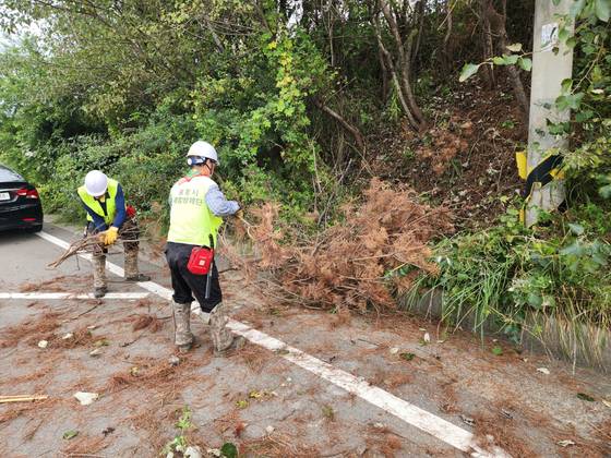 지난 22일 경북 포항시 남구 구룡포읍 한 도롯가에서 포항시 산림병해충 예찰방제단이 재선충병 감염 고사목 제거 작업을 하고 있다. 김정석 기자