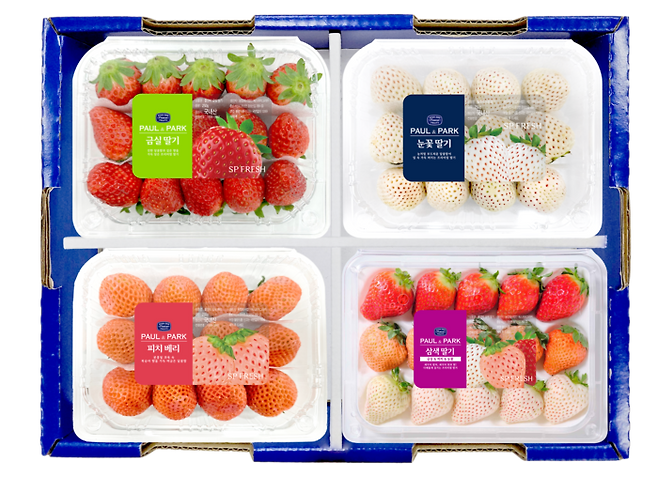 SP아그리에서 수확해 판매한 딸기 제품.