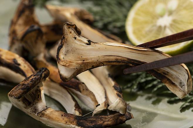 송이버섯 구이.[게티이미지뱅크]