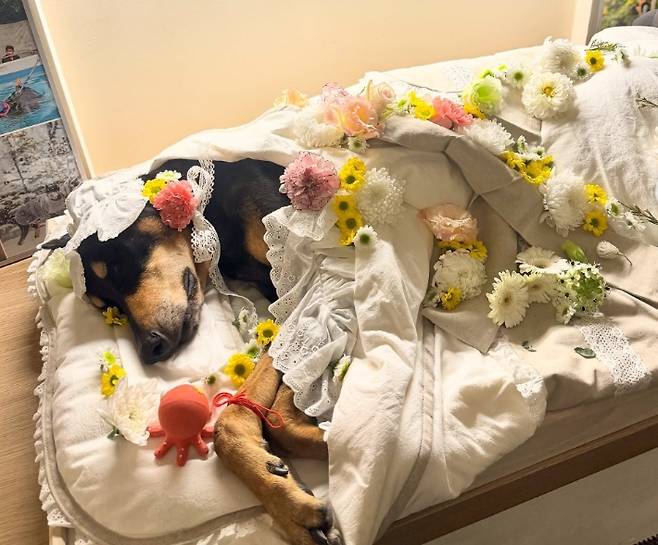 모델 겸 배우 배정남 SNS 화면 캡처