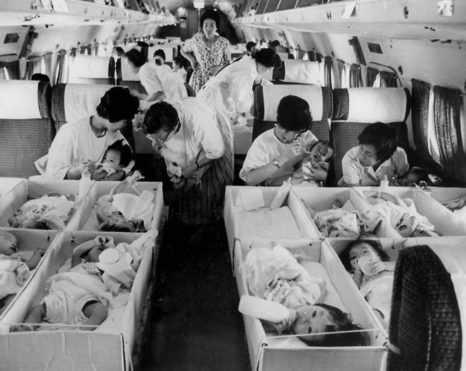 전세기에 태워진 채 미국으로 입양 가는 한국 아기들 국가기록원이 홀트아동복지회로부터 기증받은 1950∼2000년 입양 기록사진 [국가기록원 제공]