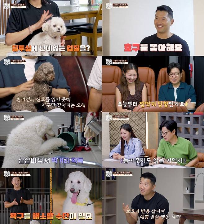 사진제공=채널A