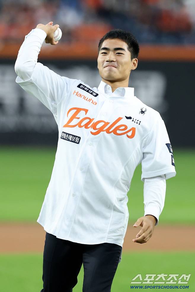 수줍은 아기 독수리의 시구