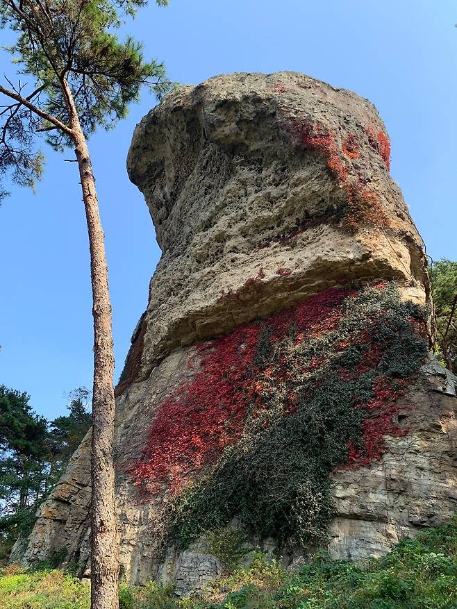 명승 고창 병바위 일원