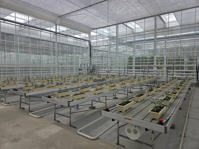 소형 DAC 설비 실증이 이뤄지고 있는 경상북도 상주 스마트팜혁신밸리 내에 위치한 에코프로에이치엔의 온실 모습. 에코프로 제공.