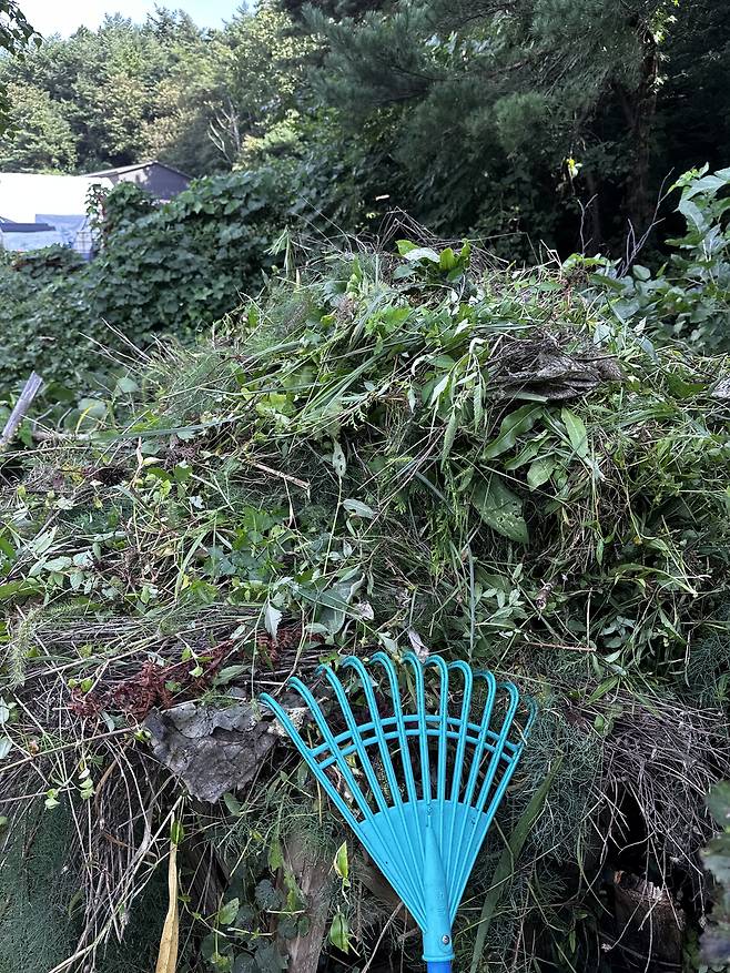 Withered flowers, branches, and fallen leaves are gathered in a corner of the garden before being moved to the compost bin. [OH KYUNG-AH]
