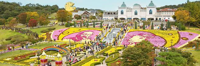 천만 송이 국화꽃과 함께하는 임실치즈축제…8일 개막 [전북 임실군 제공·재판매 및 DB금지]