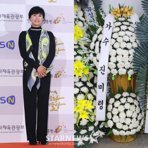 진미령 /사진=스타뉴스