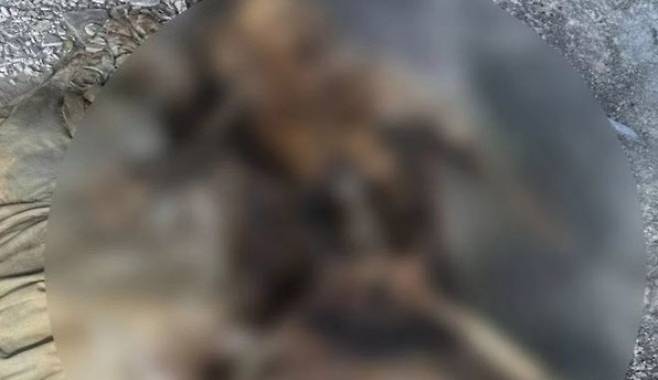 휴대전화를 분실했다 찾은 뒤 시신의 사진이 찍혀 있던 가운데 이는 실제 실종자였다는 사실이 밝혀졌다. (사진=방콕포스트)